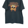 2011-harley-davidson-fire-skull-hampton-roads-virginia-vintage-t-shirt